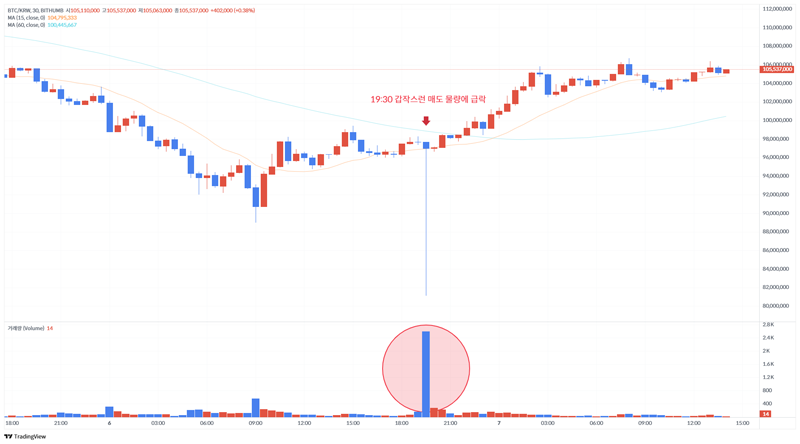 빗썸 비트코인 가격이 단기간 급락했다가 회복되는 모습을 담은 차트